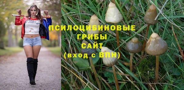 амф Балахна