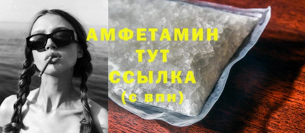 прущие грибы Новозыбков