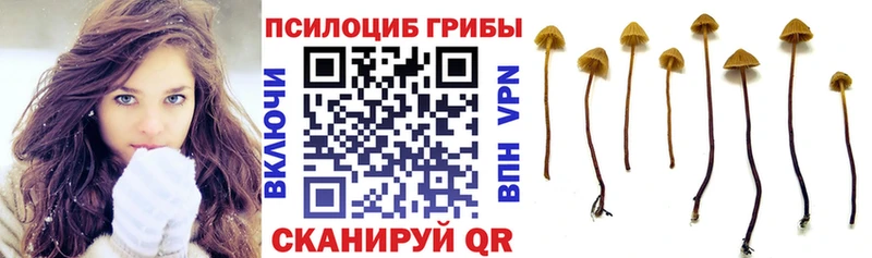 Галлюциногенные грибы мицелий  даркнет официальный сайт  Новоузенск  как найти закладки 