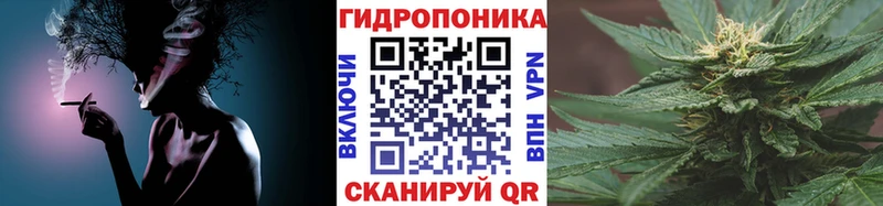 Бошки Шишки план гидра ONION Новоузенск